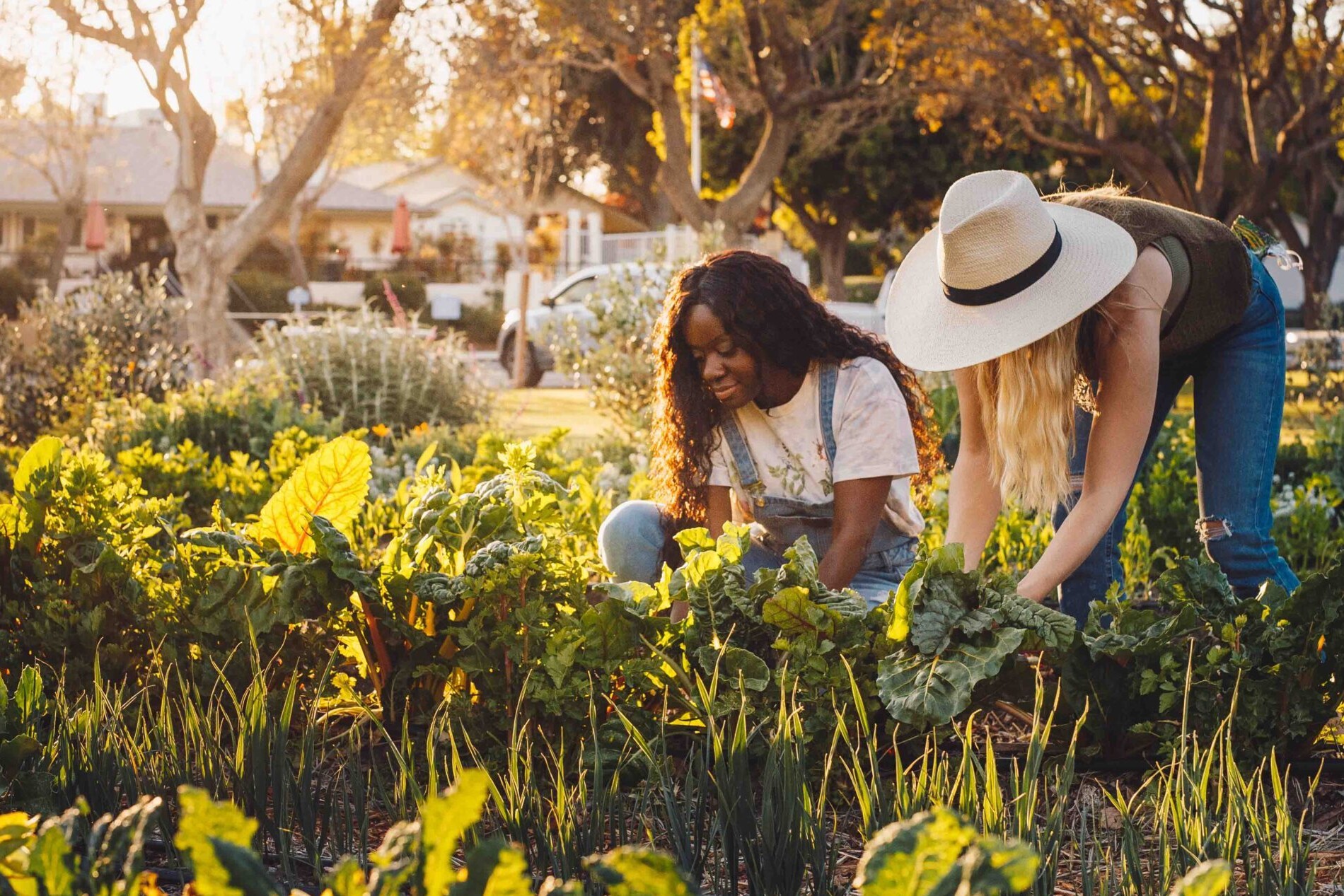 two people in a garden