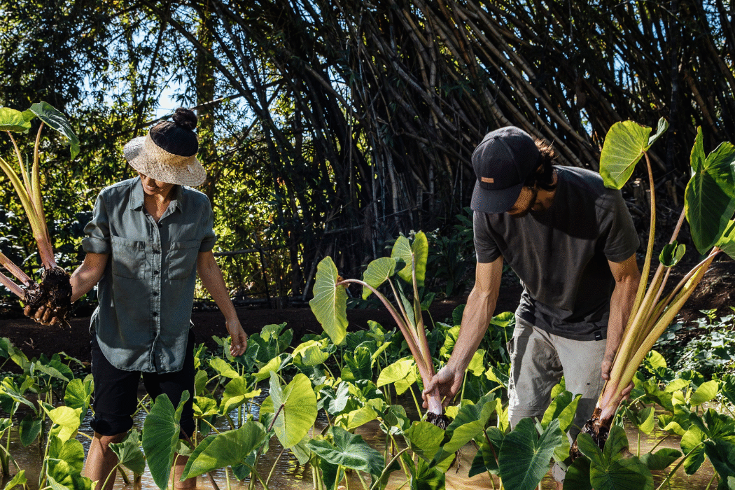 - True Organic - TrueOrganic.com