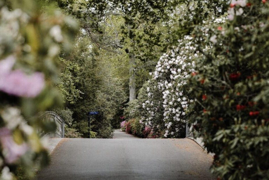 - True Organic - TrueOrganic.com