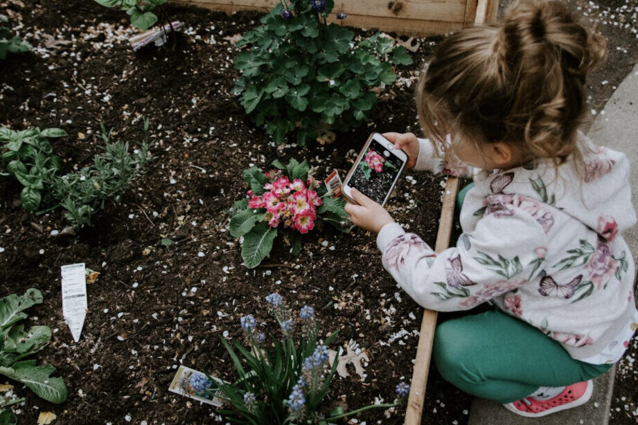 - True Organic - TrueOrganic.com