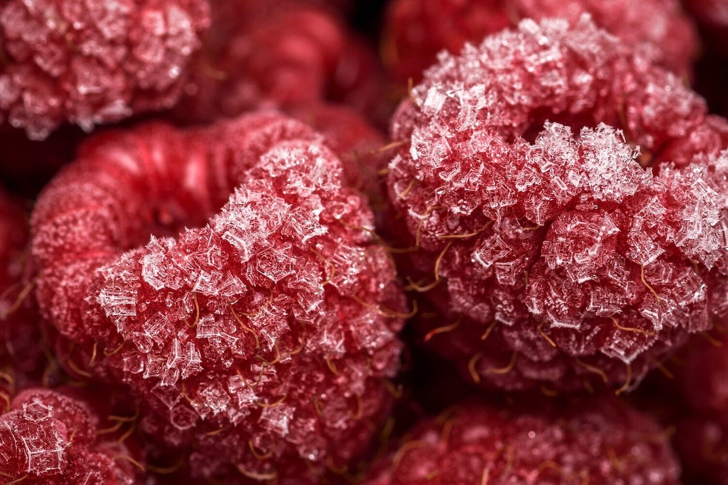 How To Store Your Garden Crops