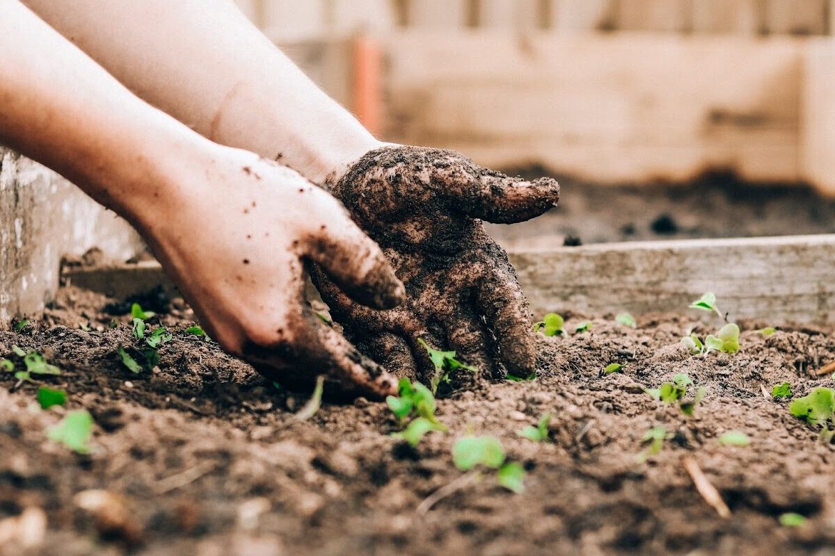 - True Organic - TrueOrganic.com