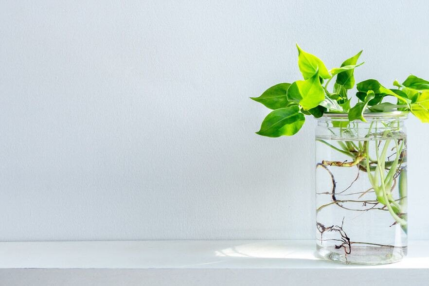 - True Organic - TrueOrganic.com