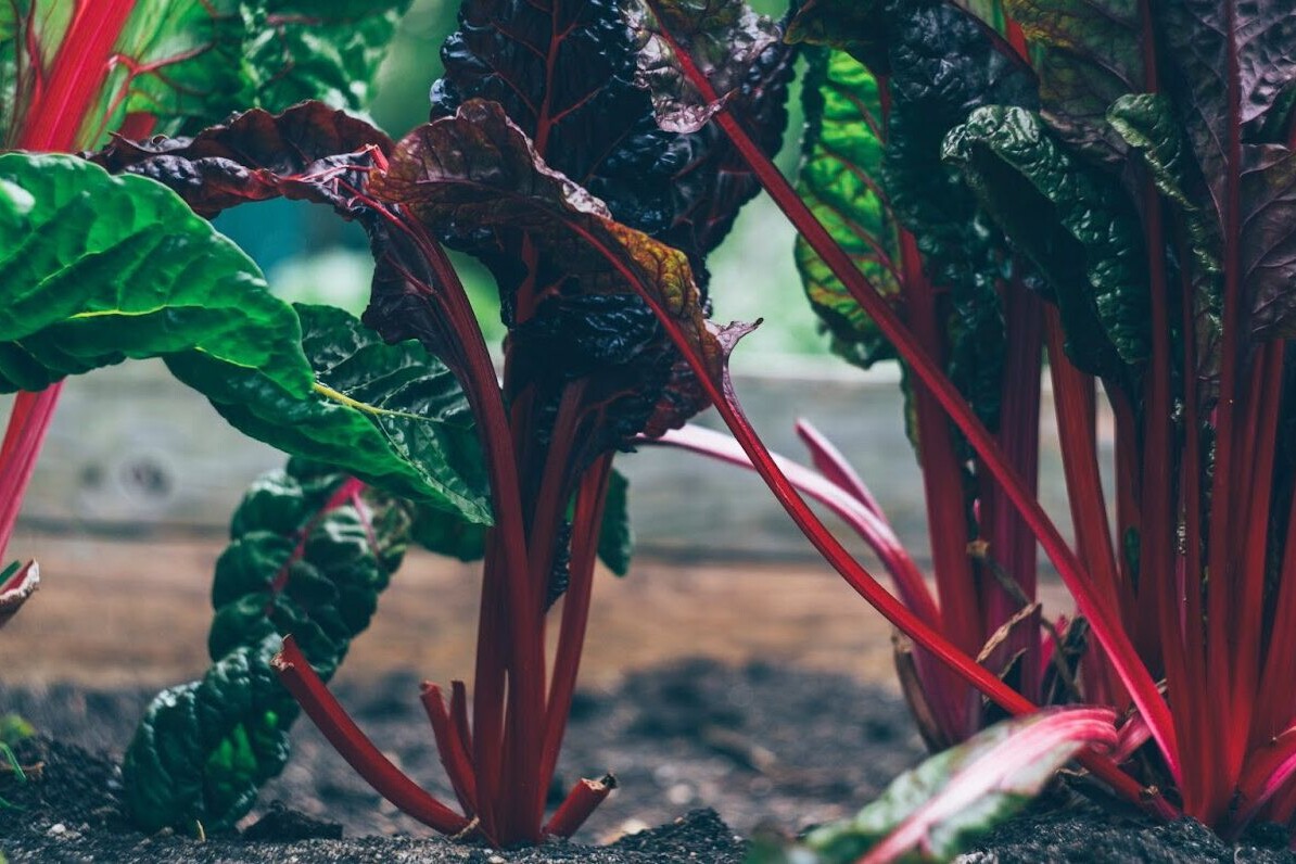 - True Organic - TrueOrganic.com