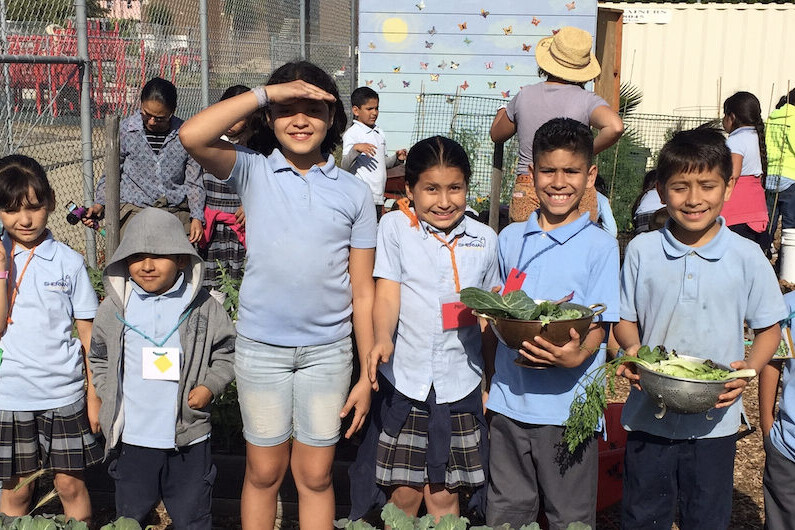 - True Organic - TrueOrganic.com