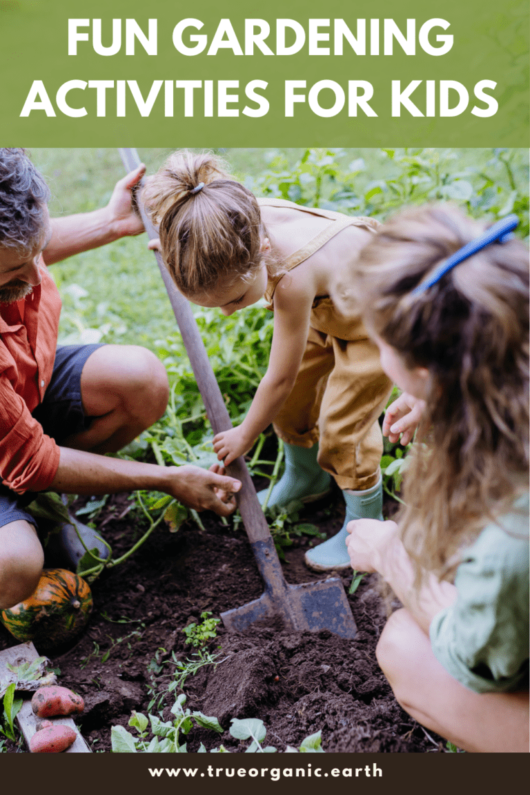 Fun Gardening Activities For Kids True Organic fun-gardening-activities-for-kids-true-organic