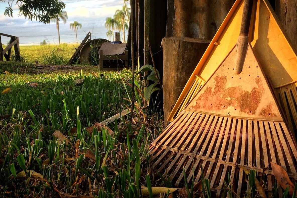 - True Organic - TrueOrganic.com