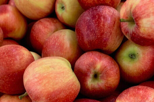 - True Organic - TrueOrganic.com