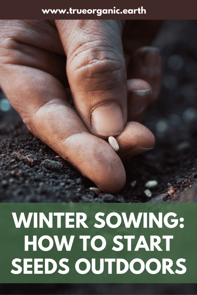 winter sowing