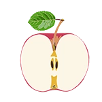 apple icon graphic