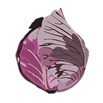 cabbage icon graphic