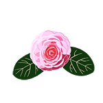 camellia icon graphic