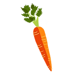 carrot icon graphic