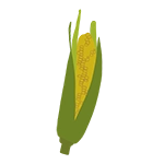 corn icon graphic