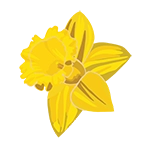 daffodil icon graphic