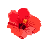 hibiscus flower icon graphic