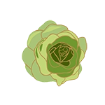 lettuce head icon graphic