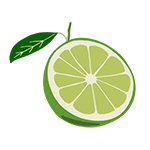 lime icon graphic