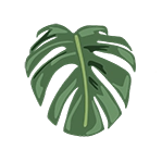 monstera leaf icon graphic
