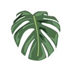 plant leaf icon graphic