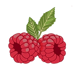 raspberries icon graphic