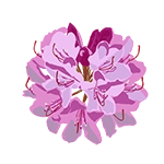 rhododendron icon graphic