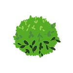 shrub icon graphic