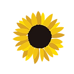 sunflower icon graphic