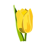 tulip icon graphic