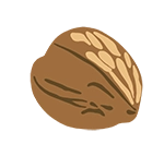 walnut icon graphic