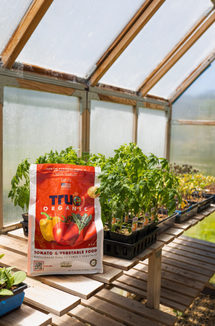 true organic tomato & vegetable food in greenhouse