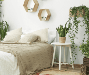 houseplants in bedroom