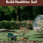 gardening tasks for healthier soil