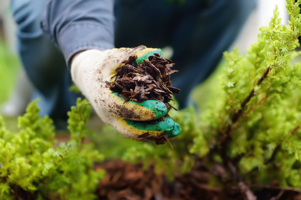 - True Organic - TrueOrganic.com