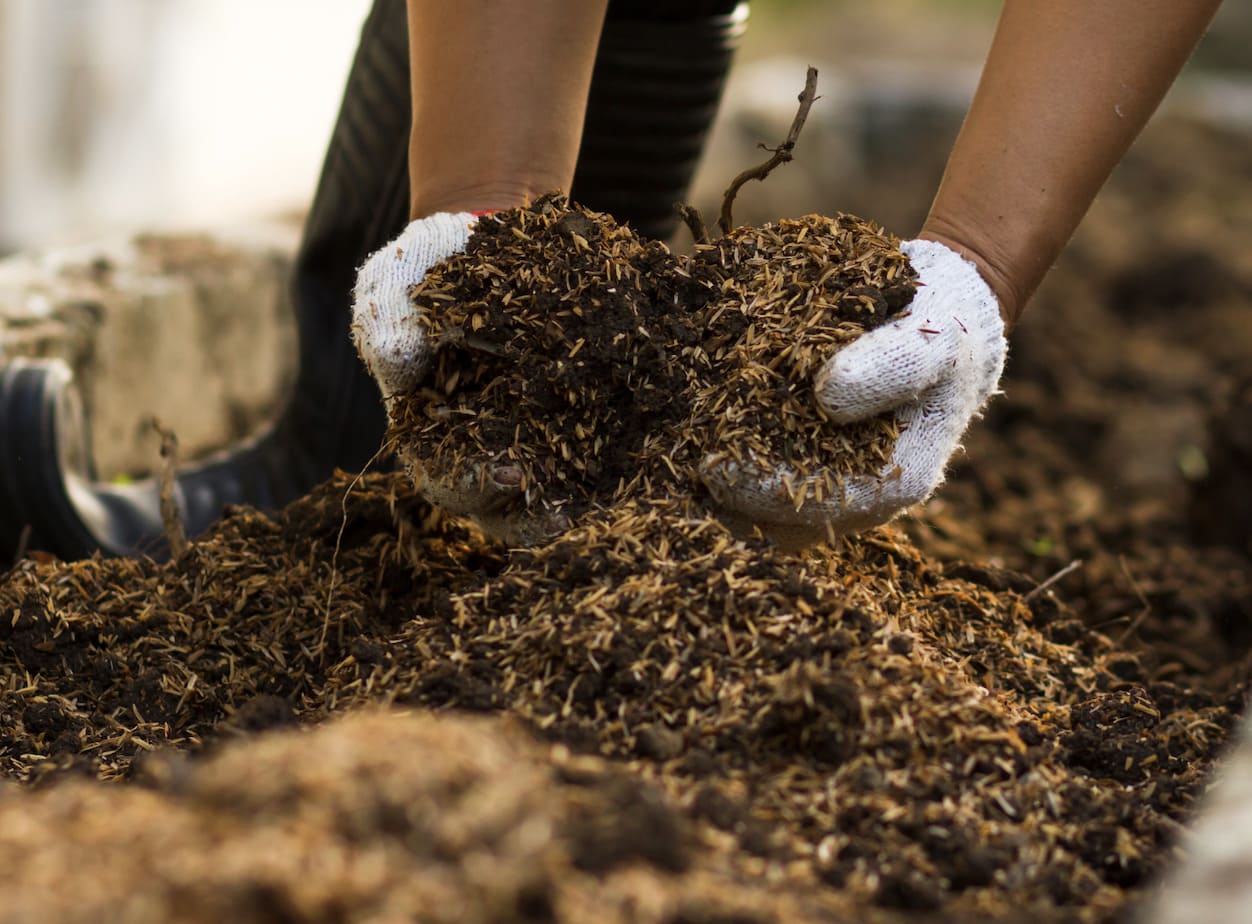 Worm Castings BG