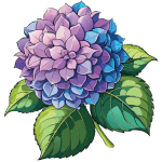 hydrangeas icon