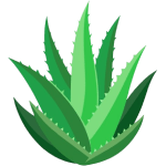 - True Organic - TrueOrganic.com