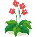 annual flowers icon