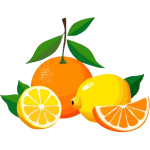 citrus icon