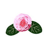 flowers icon