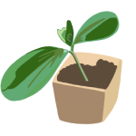 houseplants icon