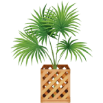 palms icon