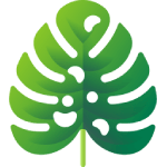 tropical icon